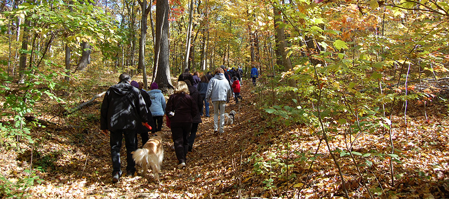 Visitors on a nature hike
