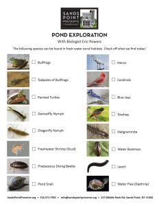 Checklist for Pond Exploration - Large