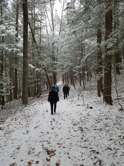 Forest Therapy Walk - Winter