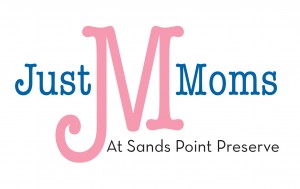 Just Mom's Logo Less Text