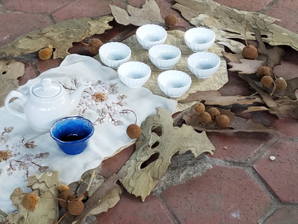 Tea served during a Forest Therapy Walk