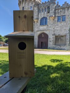 Photo of an owl box in front of Castle Gould