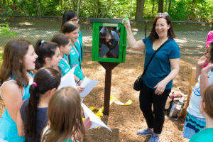 Woodland Playground Little Free Library
